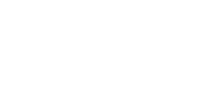 American Intelligence Corporation